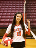 Marissa1-3Banner
